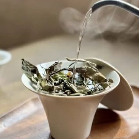 Горячая вода льётся в гайвань с чайными листьями